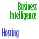 Business Intelligence/Hosting