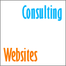 Consulting/Web design